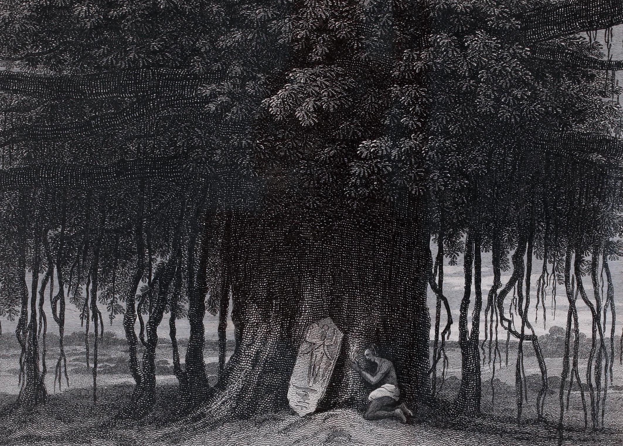Vintage engraving depicting a devotee kneeling in prayer at the base of a massive sacred Banyan tree. The figure worships before a carved stone stele nestled among the tree's hanging aerial roots in a serene natural setting.